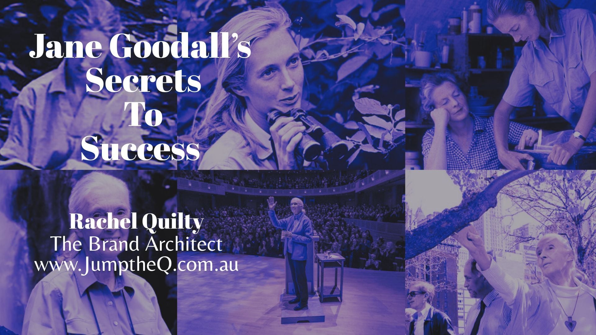 Jane Goodall's Secrets to Success