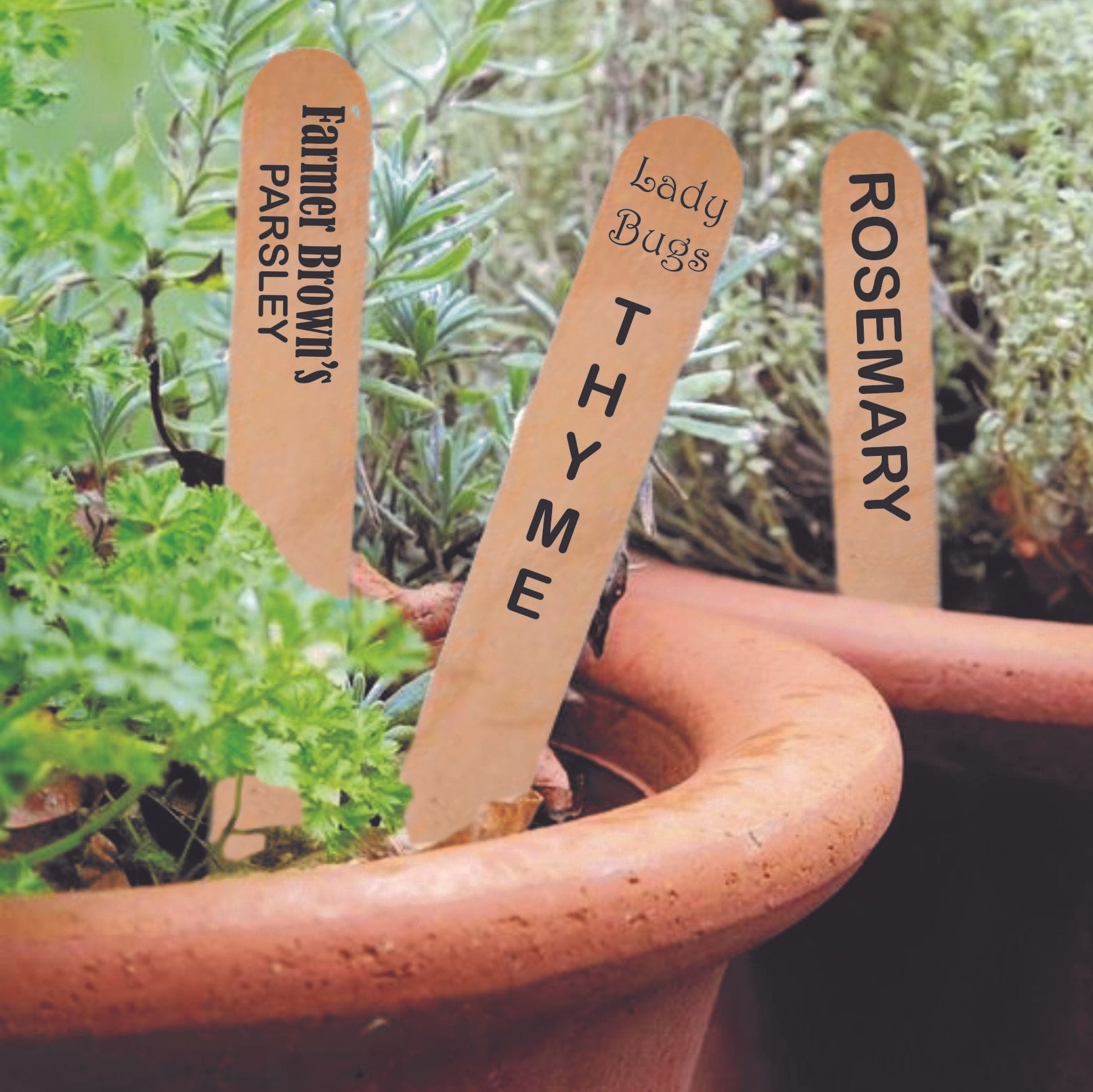Garden Markers | Customised Markers | Steak Out