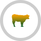 The Farm Co - Animal Lifestock care