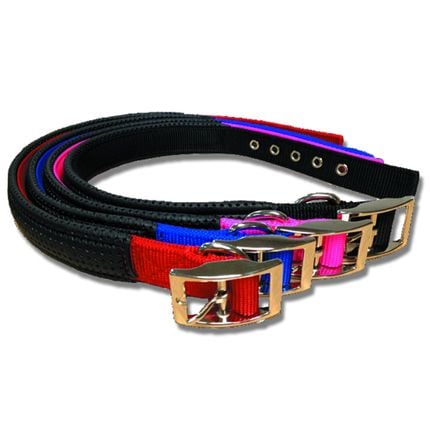 nylon webbing dog collars