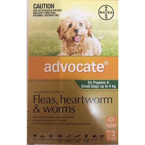 Advocate puppy flea worm treatment Clearance