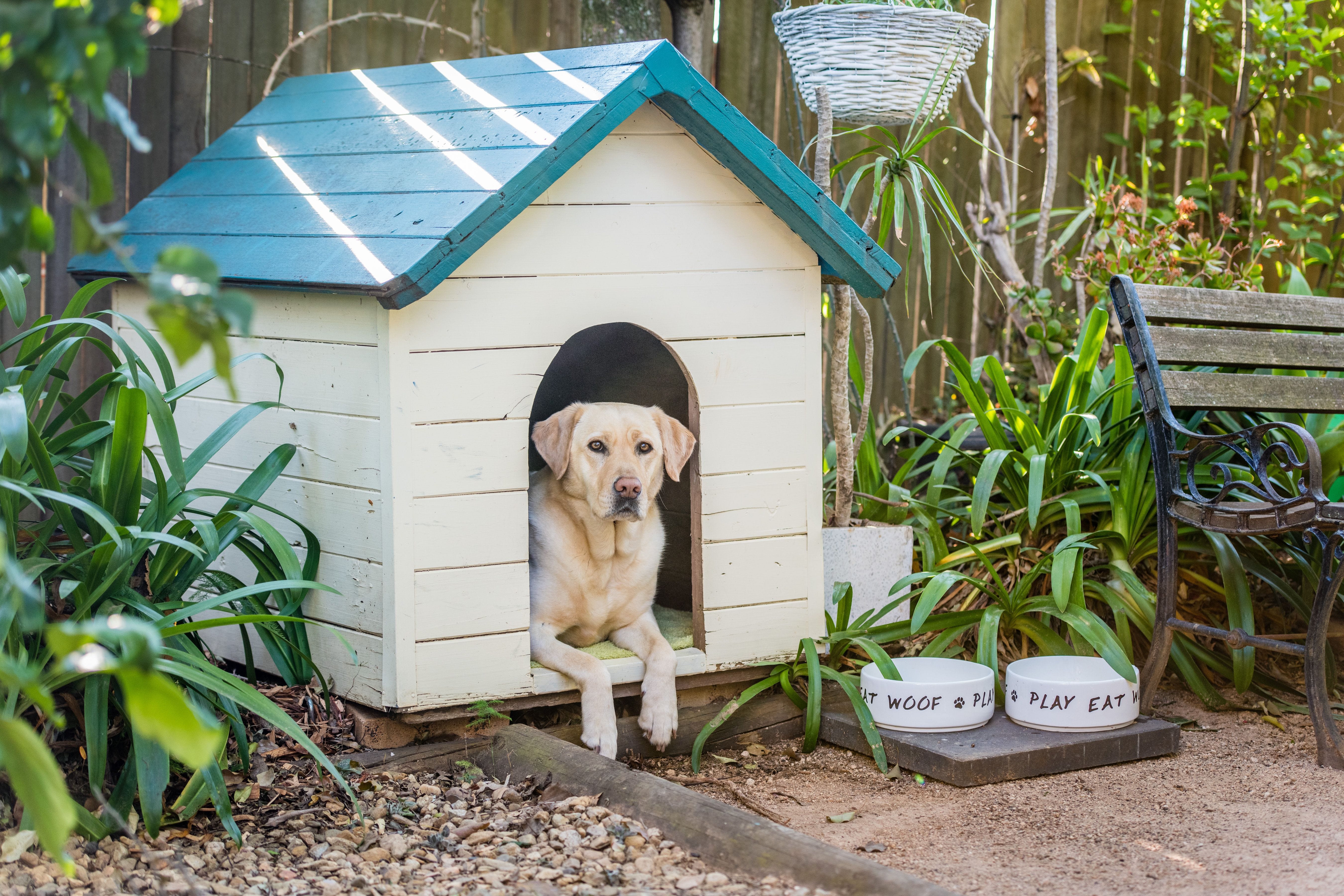 Banksia Cottage