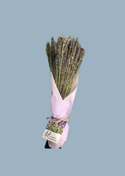 Wyoming Lavender Grosso Bunch Dried