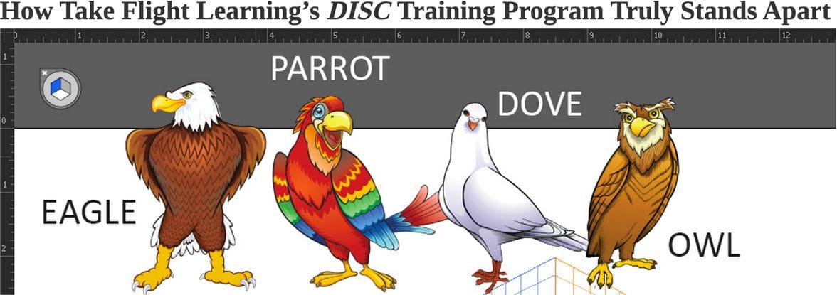 Take Flight with DISC at Talent Tools