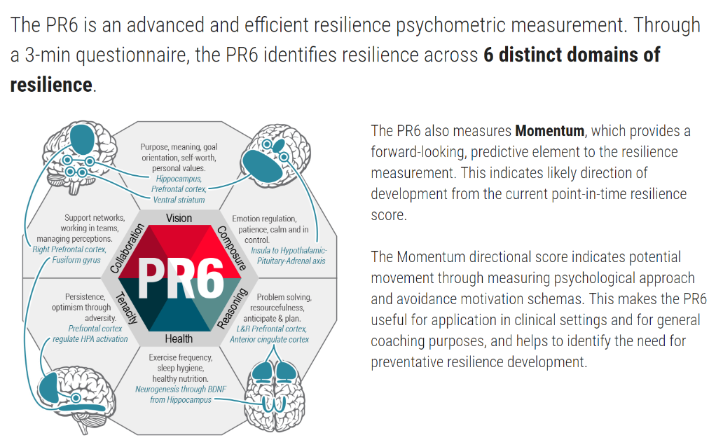 PR6 Predictive Resilience Factors Profile