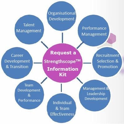 Strengthscope profiles and reports at Talent Tools. Work based strengths identifier