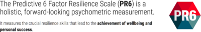 PR6 The Predictive 6 Factor Resilience Scale and RESICoach Training at Talent Tools