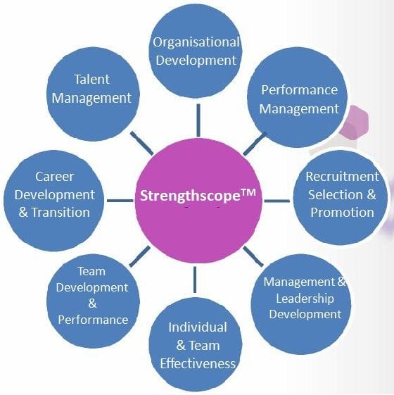 Strengthscpe at Talent Tools