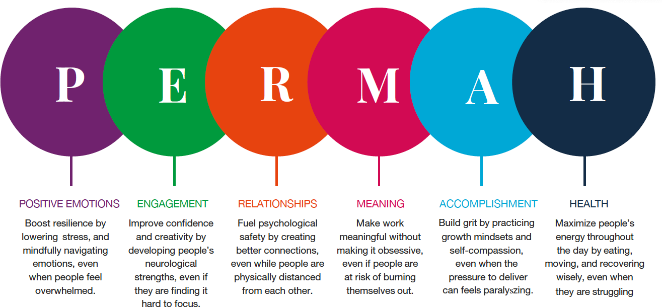 PERMAH Workplace Wellbeing and Talent Wellbeing at Talent Toold