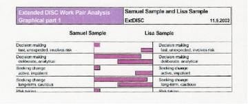 Extended DISC Work Pair Analysis at http://talenttools.com.au/extended-disc-reports.html