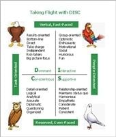 Taking Flight DISC Reminder Cards (10-pack) Taking Flight DISC Reminder Cards (10-pack)