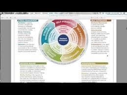 EQ-i  2.0  Workplace Report EQ-i  2.0  Workplace Report