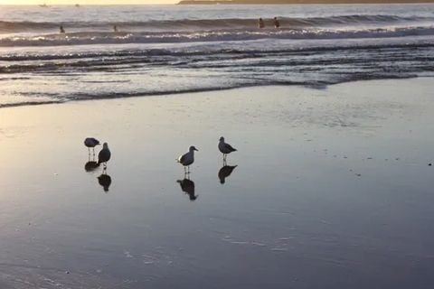 RED FLAGS... Reactive Abuse