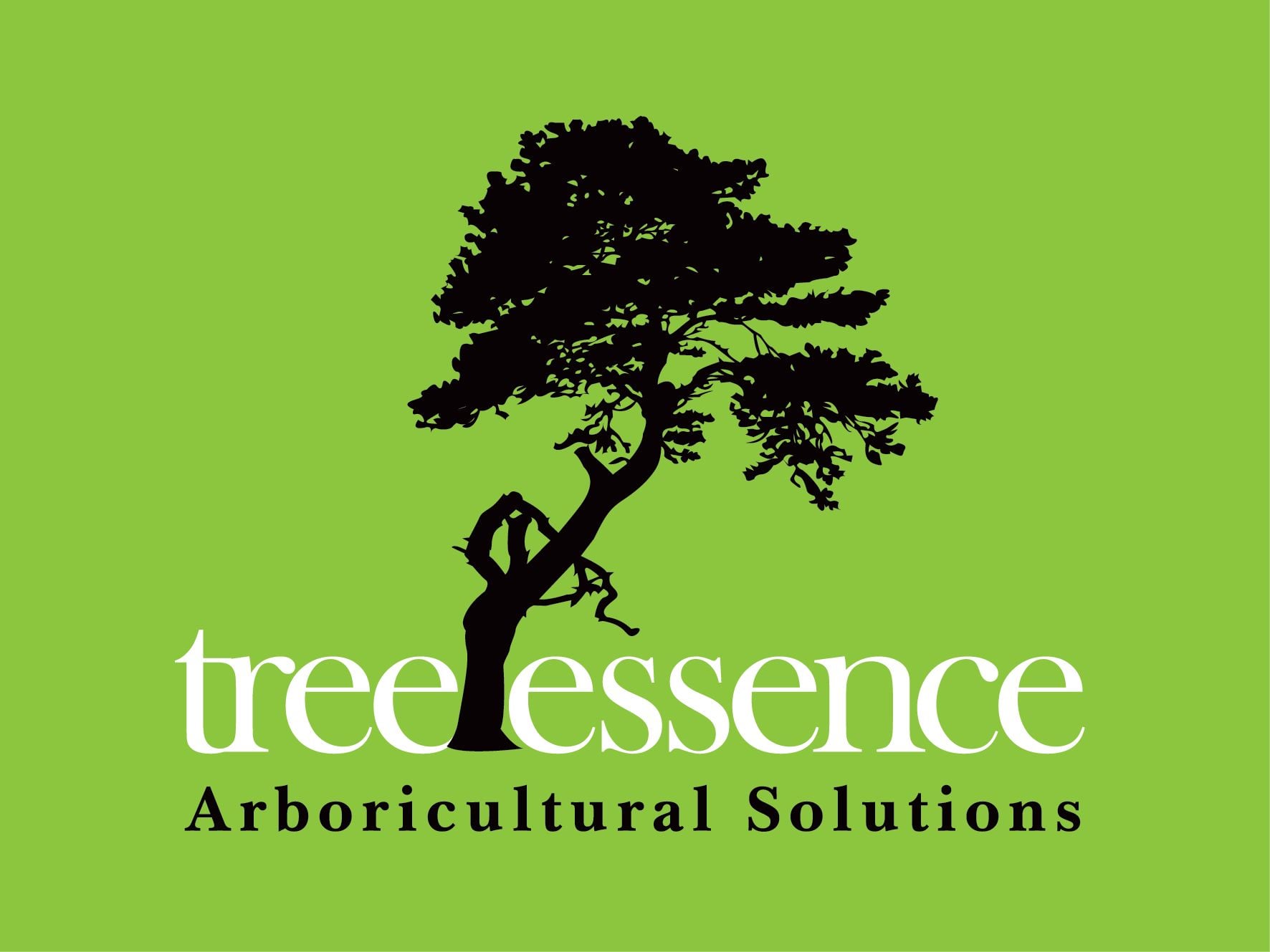 Tree Essence