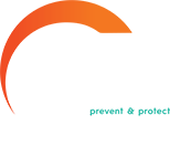 At The Ark
