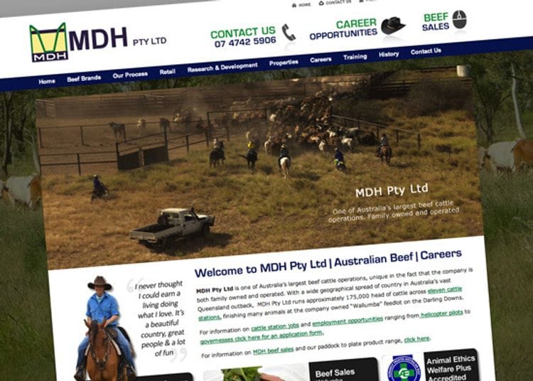 Client Spotlight - MDH Beef