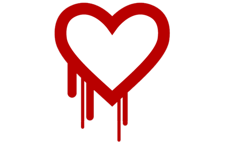 The Heartbleed Bug