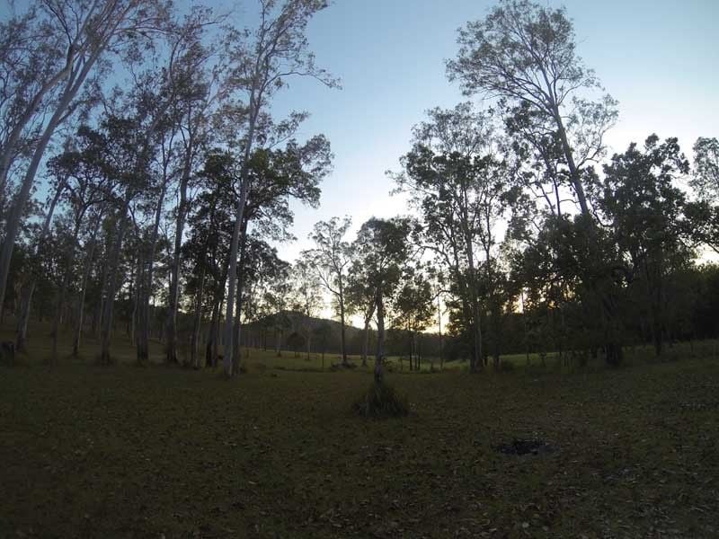 Amamoor Creek, Amamoor SF, North of Brisbane