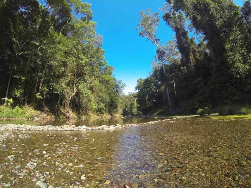 Booluomba Ck Area1, Conondale NP, North of Brisbane