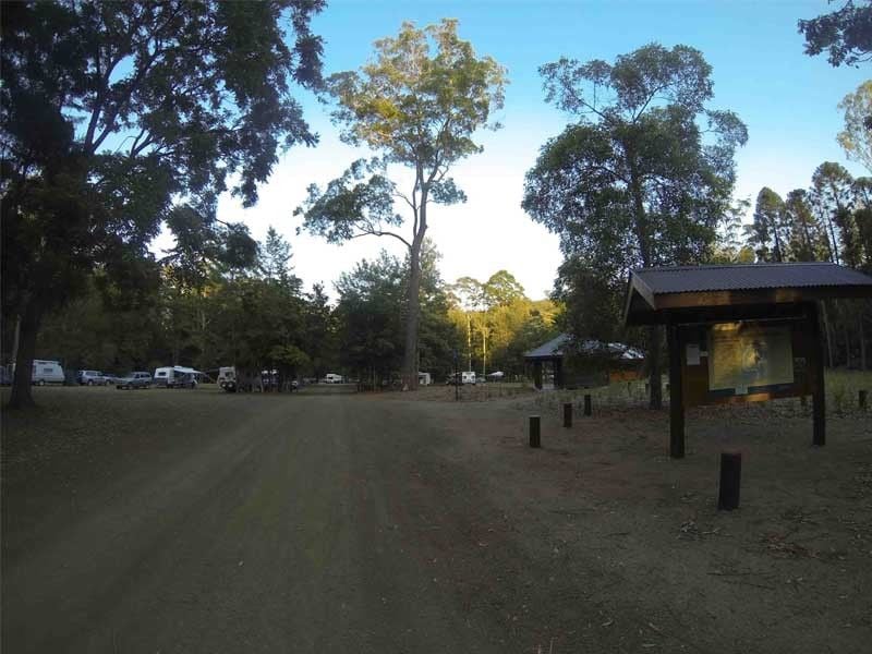 Cedar Grove, Amamoor SF, North of Brisbane