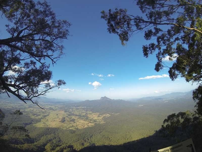 Forest Tops, Border Rangers NP, North of Kyogle