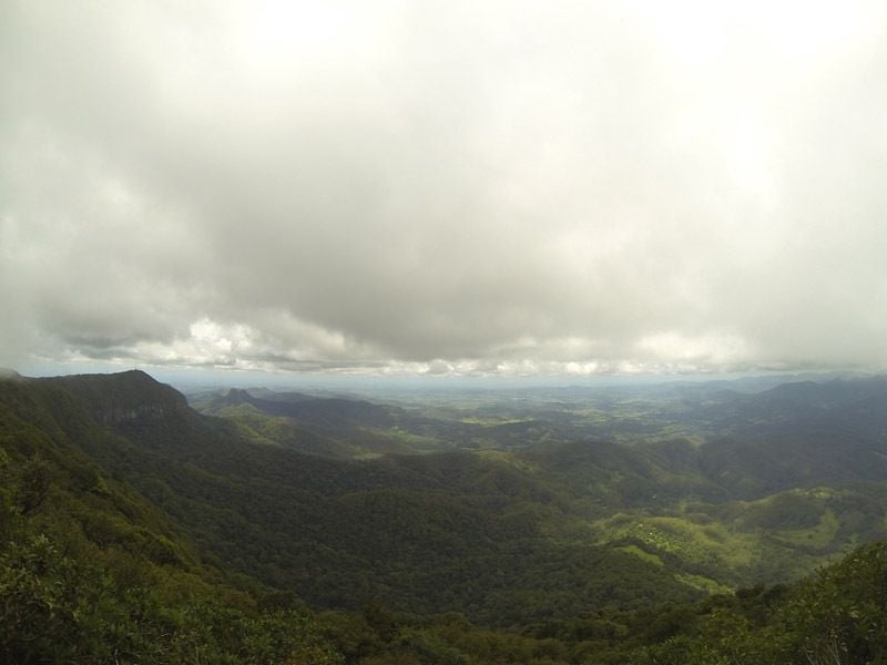 The Settlement, Springbrook - Gold Coast Hinterland