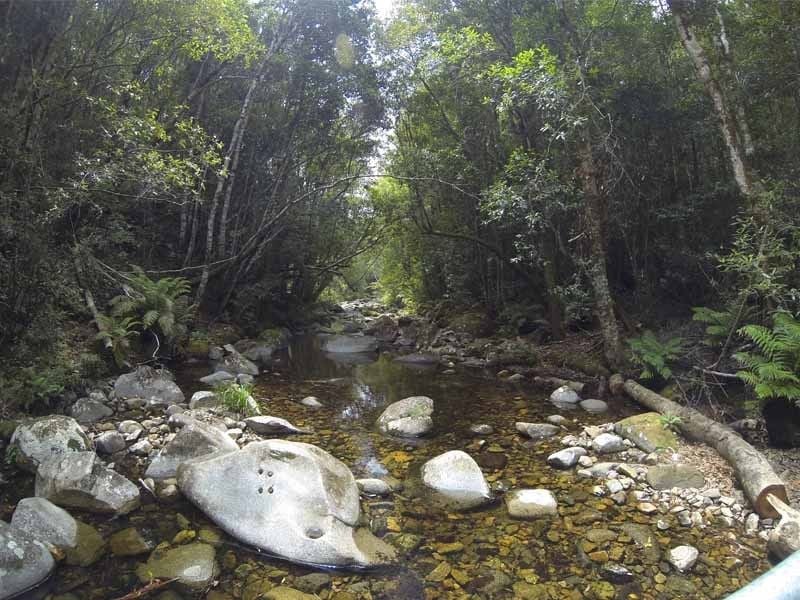 Coombadjha Creek, Washpool NP, East of Glen Innes