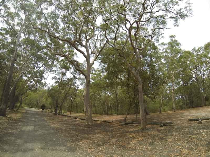 Boomeri, Myall Lake Nat Park, North of Hawks Nest