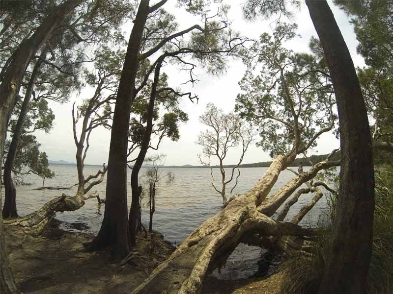 Dees Corner, Myall Lake Nat Park, North of Hawks Nest