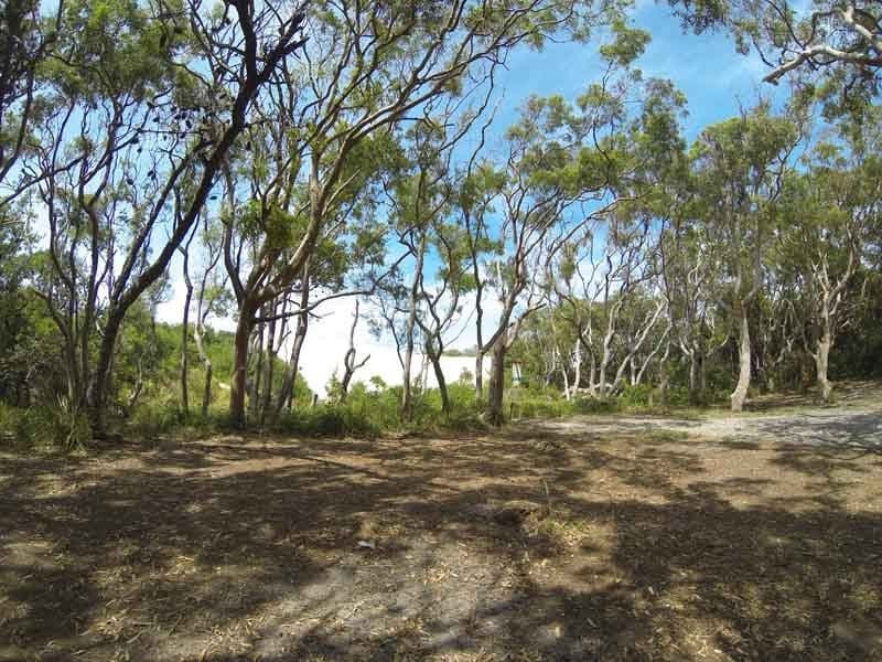 Stewart and Lloyds, Myall Lake Nat Park, North of Hawks Nest