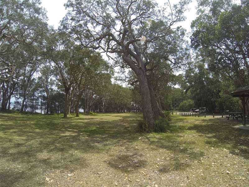 White Tree Bay, Myall Lake Nat Park, North of Hawks Nest