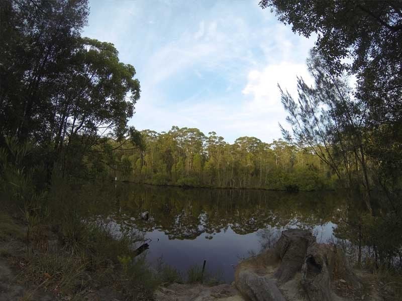 Wallingat, Wallingat Nat Park, Forster Region