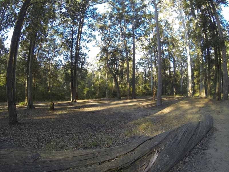 Murphys Glen, Blue Mountains National Park