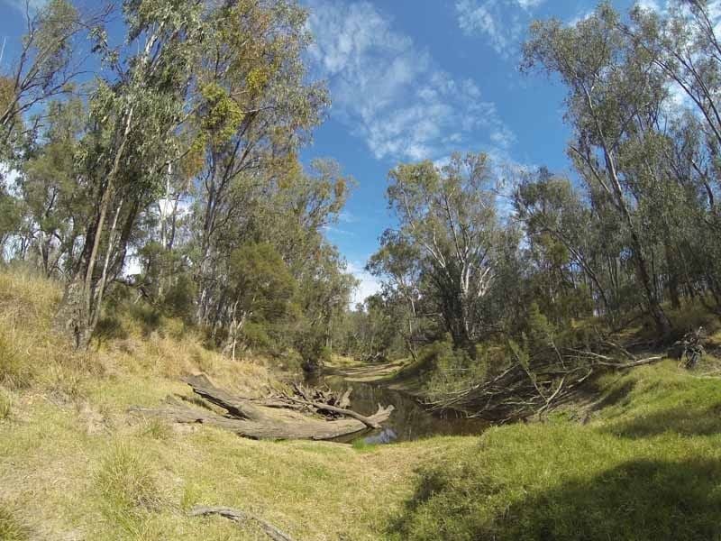 Yellow Bank Reserve, Dumaresq River, Goondiwindi