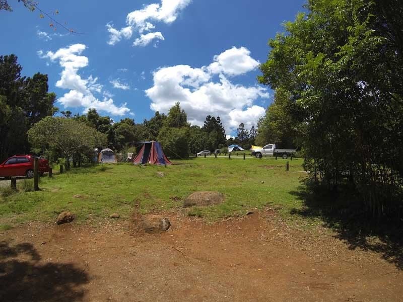 O Reilly S Lamington Np O Reilly S Lamington Np