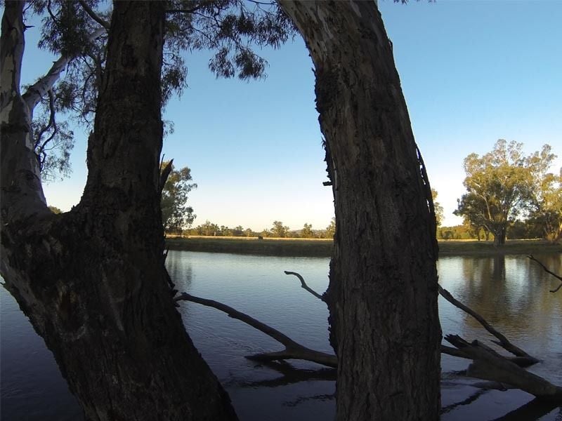 Richardsons Bend, Murray River, Barnawartha North
