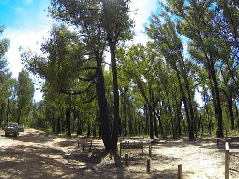 Strachans Camping Area, Grampians NP, North of Hamilton