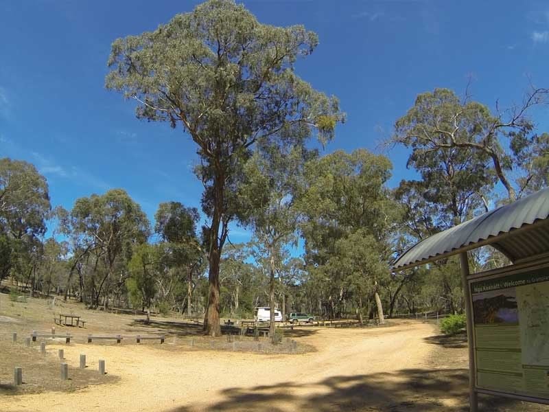 Buandik Camping Area, Grampians NP, North of Hamilton