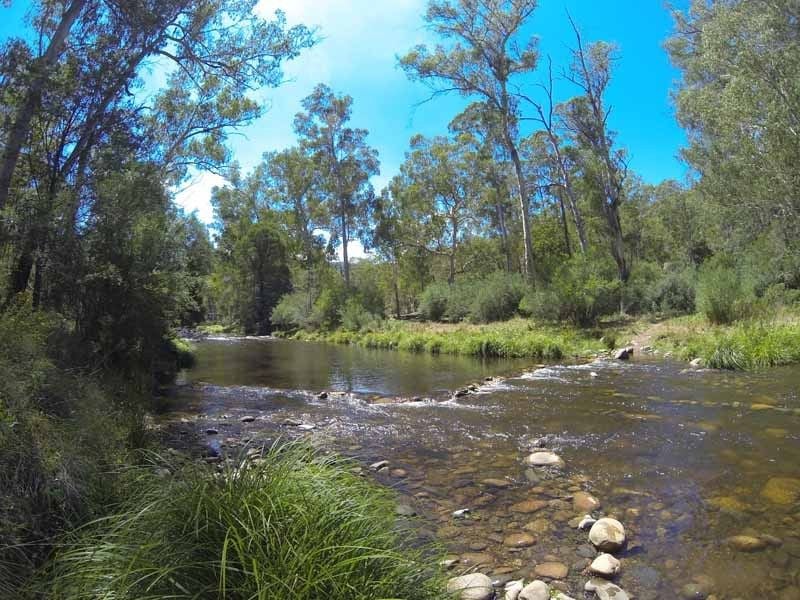 Black Birds Flat, Howqua Hills, Mansfield Region