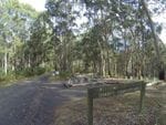 Sharps Track, Great Otway NP, West of Lorne