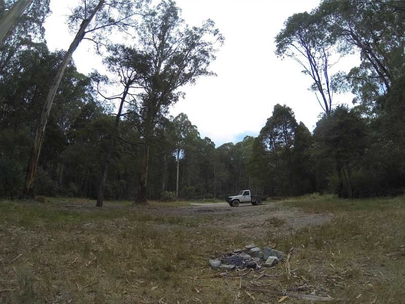Married Men's Camp Area,  Big River State Forest