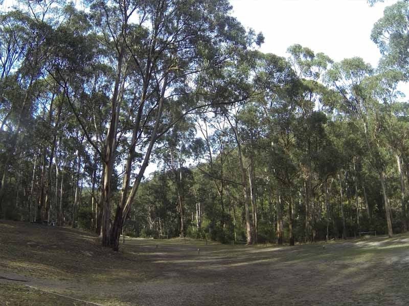 Allenvale Mill, Great Otway NP, West of Lorne