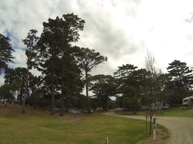 Capel Sound Foreshore Reserve, Mornington Peninsula