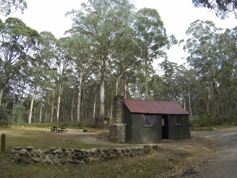 Mugwamp, Mt Cole SF, East of Ararat