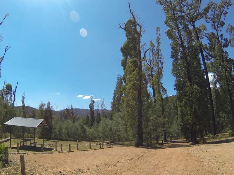 Bull Creek, Murrindindi SR, South of Yea