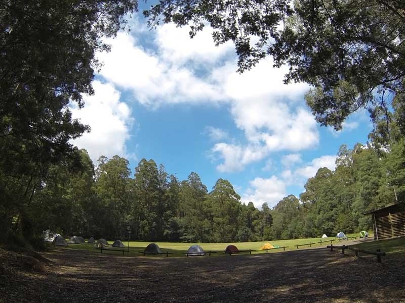 Toolangi Recreation Reserve, Toolangi