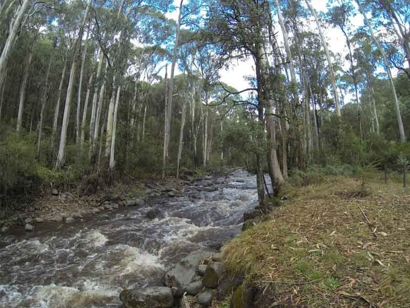 Kendalls B, Rubicon Valley, South of Eildon