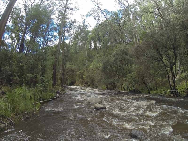 Kendalls A, Rubicon Valley, South of Eildon