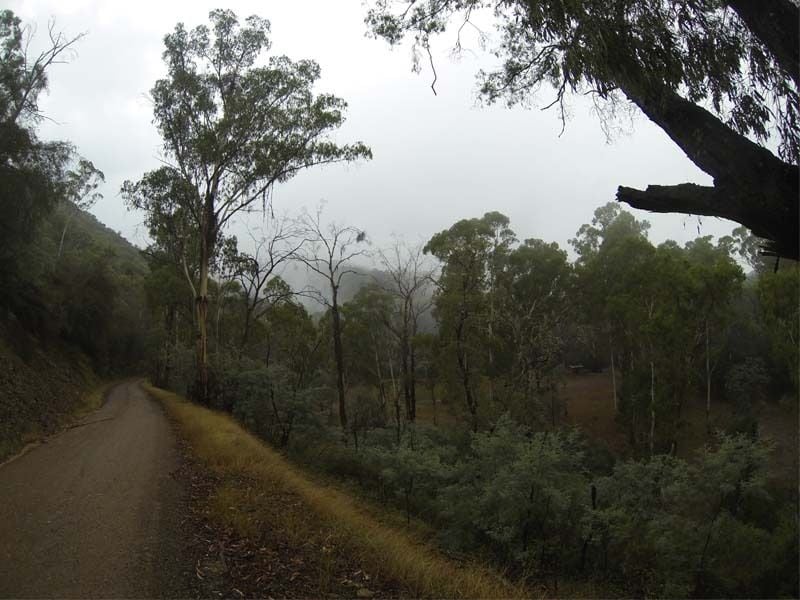 Chaffe Creek, Big River SF, East of Eildon