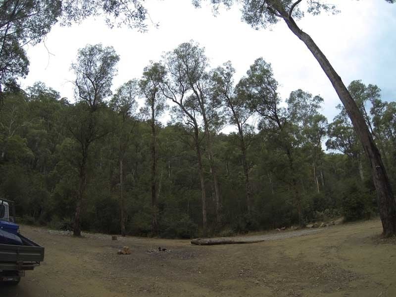 Bobuck Ridge, Big River State Forest
